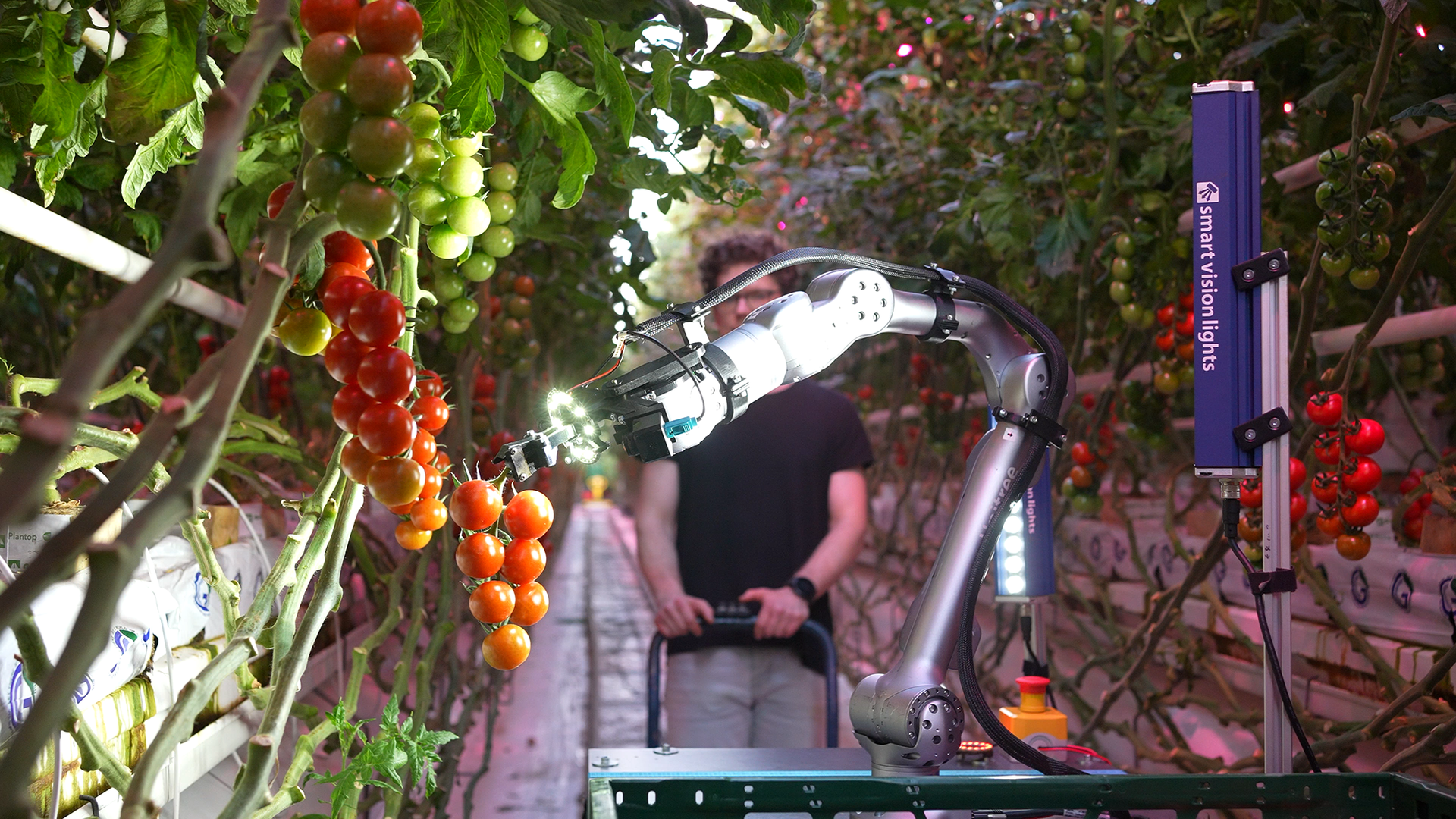 Thumb ticker xxl polybot greenhouse  c  polybot web